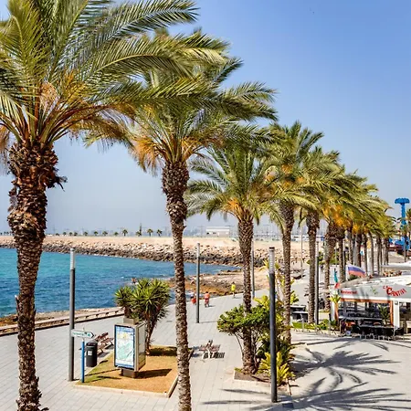 Del Cura 托雷维耶哈