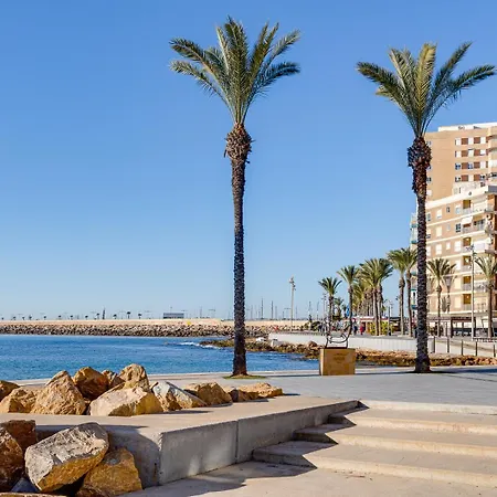 Del Cura * 托雷维耶哈