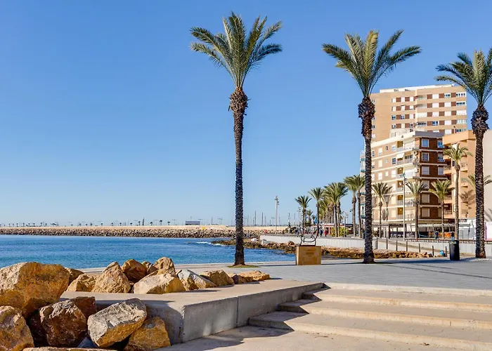 Del Cura * Torrevieja